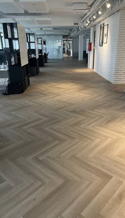 shutterstock 2302582883